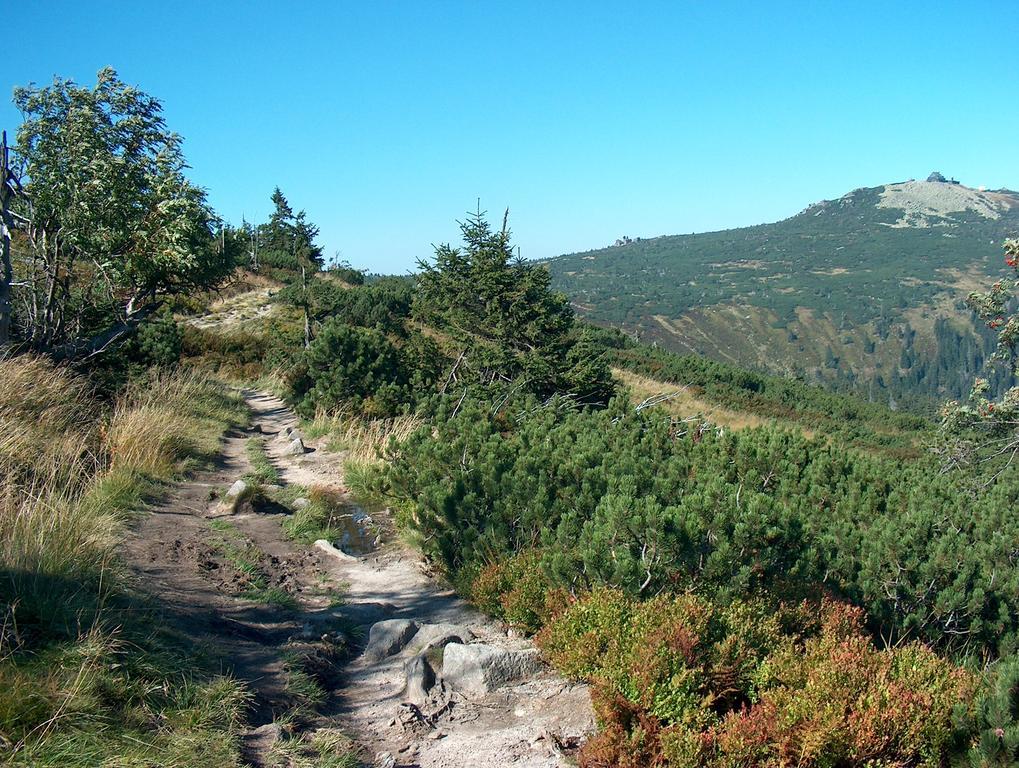 Penzion Podlesi Kořenov Exteriör bild
