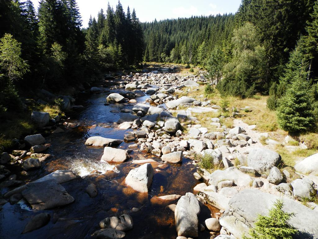Penzion Podlesi Kořenov Exteriör bild