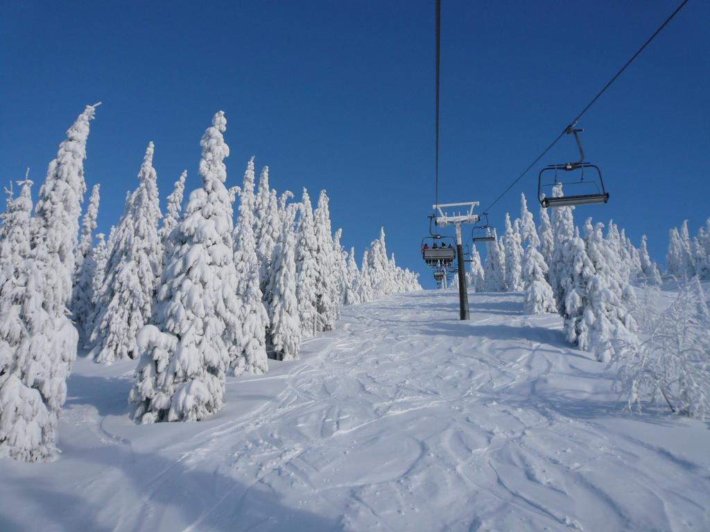 Penzion Podlesi Kořenov Exteriör bild