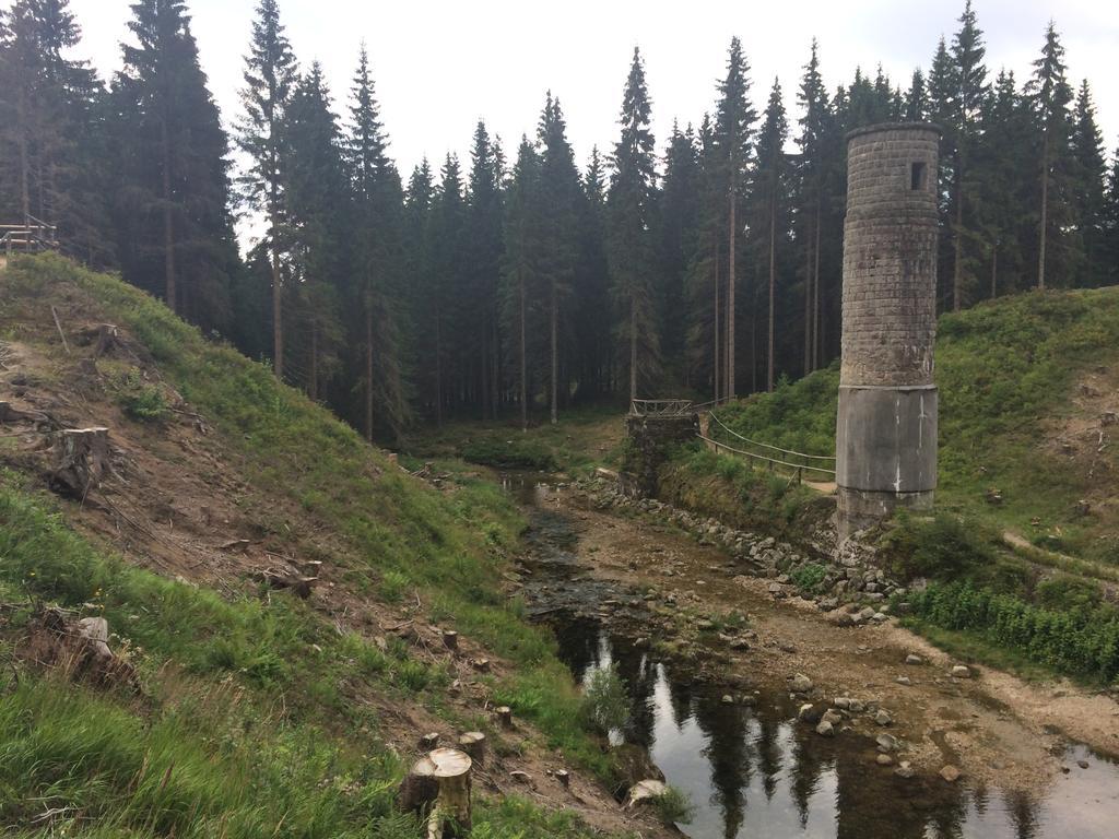 Penzion Podlesi Kořenov Exteriör bild
