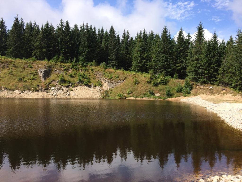 Penzion Podlesi Kořenov Exteriör bild
