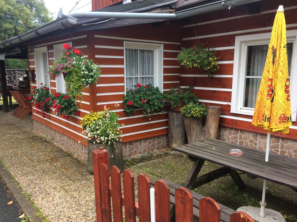 Penzion Podlesi Kořenov Exteriör bild